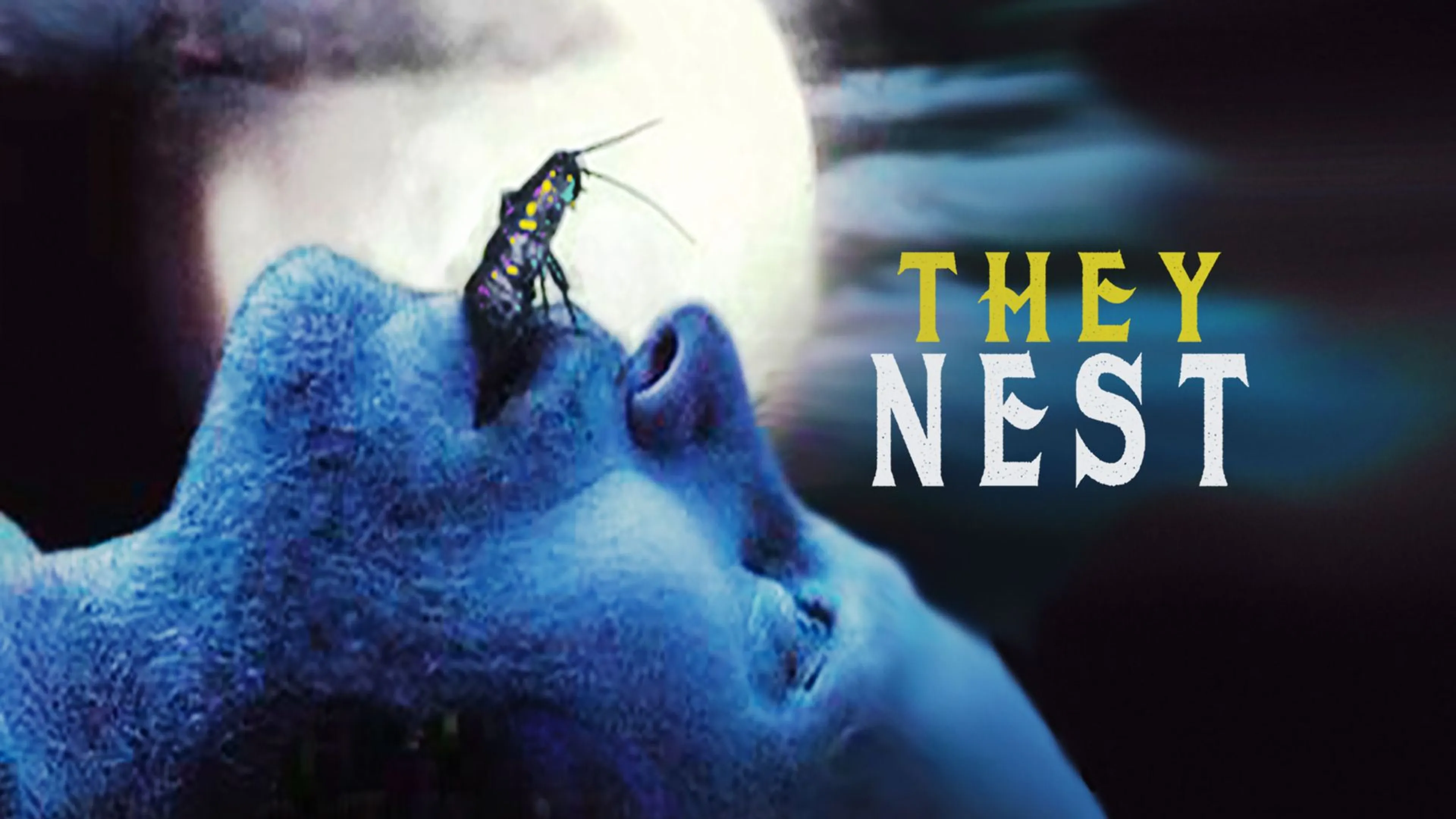 They Nest poster